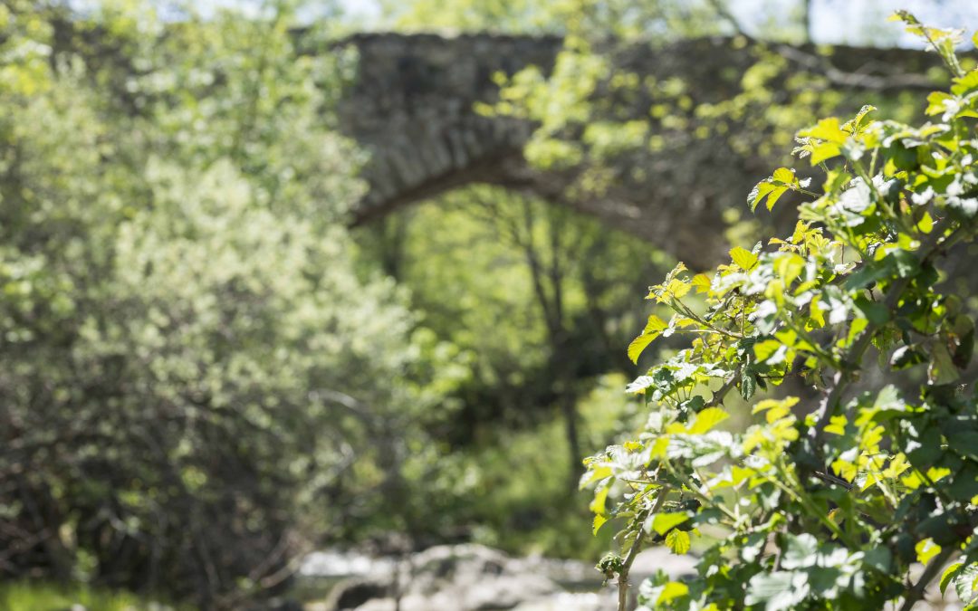 Puentes medievales del río Lozoya