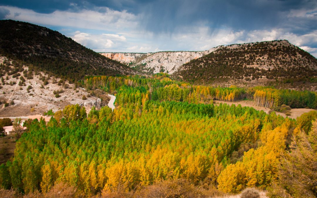 Cañón del Río Lobos