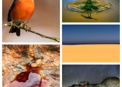 Ganadoras concurso “online” mayo 2019