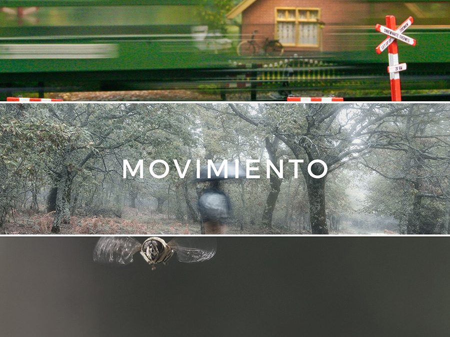 Ganadoras concurso “online” junio 2020