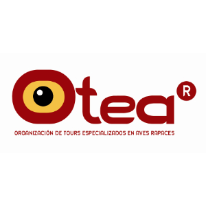 logo_otea