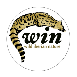 logo_win