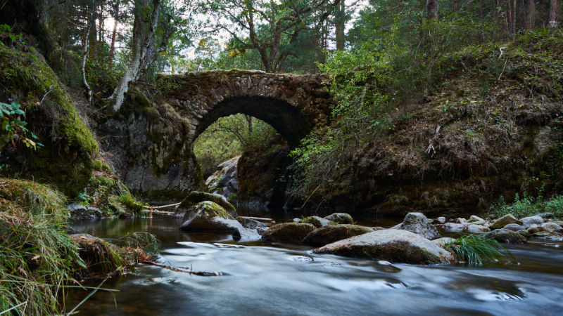 Puentes medievales del río Lozoya