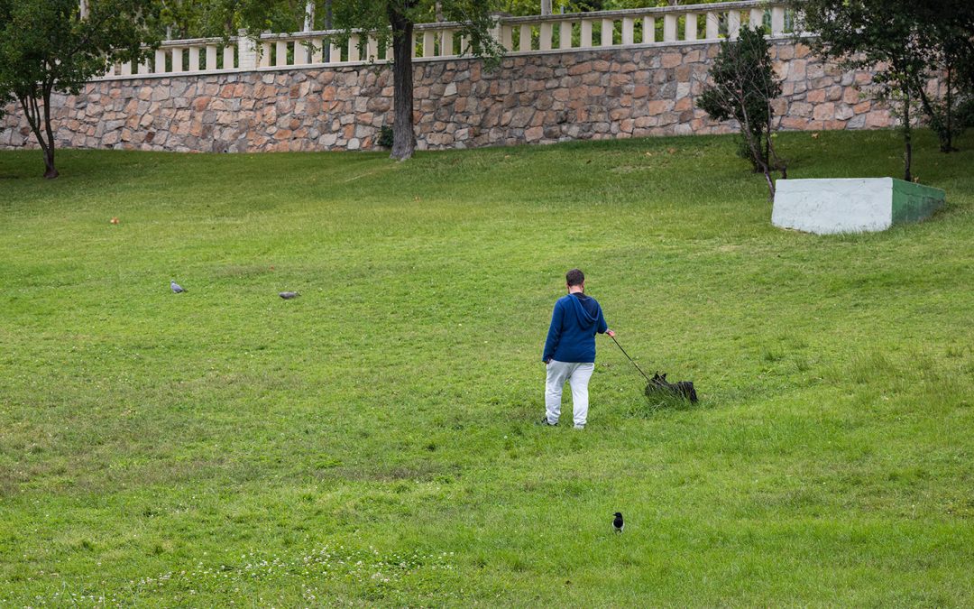 El ayuntamiento tricantino convoca el concurso “Fotografía tu parque”