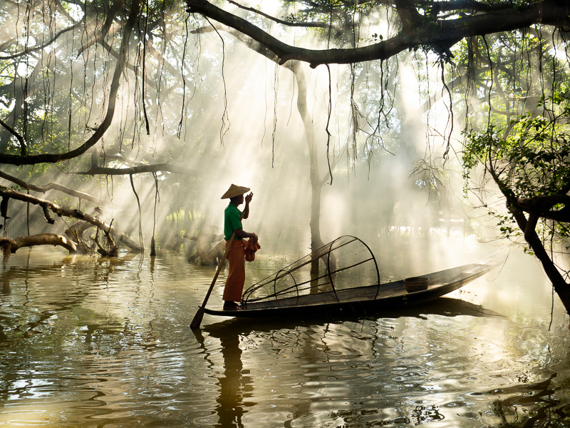 Entre luces y raíces en el Mangrove. Cristina Navarro
